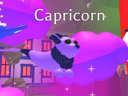 Capricorn on display