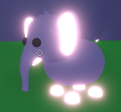 Neon Elephant (Rare)