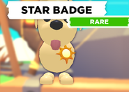 AM star badge