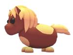 Shetland Pony Dark Brown