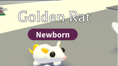 Golden Rat Adopt Me Wiki Fandom - roblox rat nose