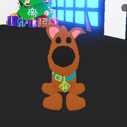 The Scoob Collar on a Scoob.