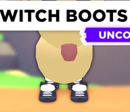 The Witch Boots on a Dog.