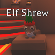 Elf Shrew
