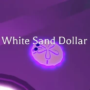 The Mega Neon White Sand Dollar.