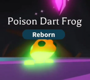 Neon Poison Dart Frog (Rare)