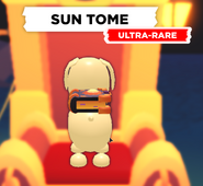 The Sun Tome on a Dog.
