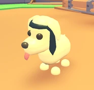 Dog with head tie.png (123 KB) The Head Tie on a Dog.