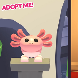 Pet Shop, Adopt Me! Wiki