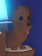 A Chocolate Labrador in-game.