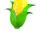 Golden Corn