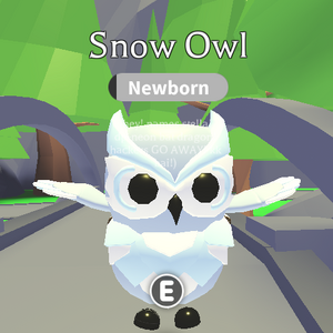 Discuss Everything About Adopt Me Wiki Fandom Comment down below what will you trade for snow owl adopt me christmas 2020 pet the video shows what people trade for the. adopt me wiki fandom