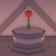 The Strawberry Rattle on display.