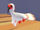 Ibis