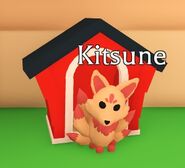 Kitsune sitting in pet area
