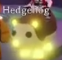 Mega Neon Hedgehog