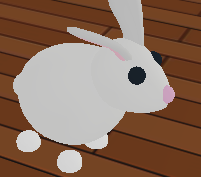 Rabbit Adopt Me Wiki Fandom - roblox adopt me bunny