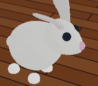 Rabbit Adopt Me Wiki Fandom - roblox adopt me bunny pet