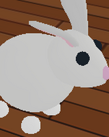 Rabbit Adopt Me Wiki Fandom - pink rabbit roblox