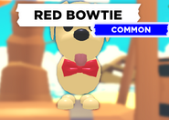 Red Bowtie
