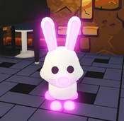 Neon Bunny