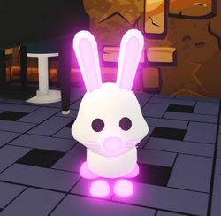 Bunny Adopt Me Wiki Fandom - roblox adopt me bunny pet