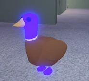 Pato mega neón.png (200 kB) Un pato meganeón.