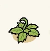 Farm crops seedlings Strawberry.png