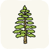 Garden Plants FirTree.png