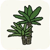 Garden Plants SagoCycas.png