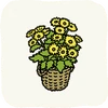 Garden Flowers Chrysanthemums.png