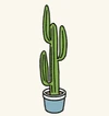Plants5.jpg