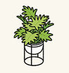 BathPlants5.jpg