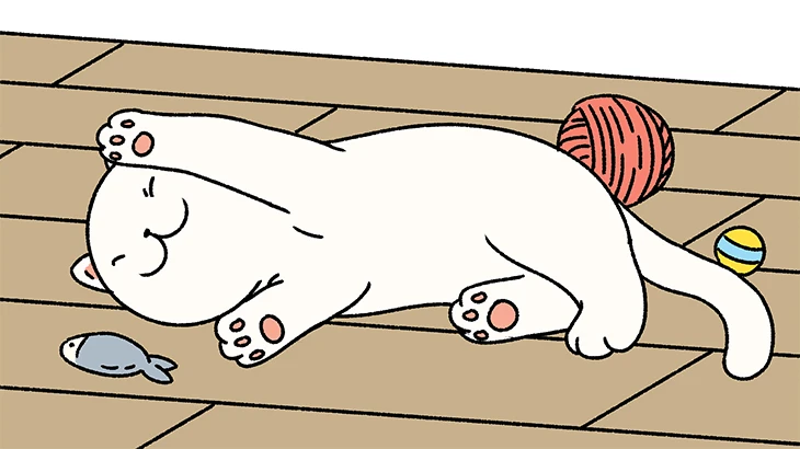 Cats | Adorable Home Wiki | Fandom