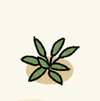 Farm crops seedlings RedPepper.png