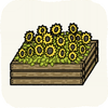 Garden Flowers SunFlowers.png