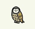 Oz owl.jpg