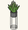 Plants4.jpg
