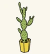 Plants3.jpg