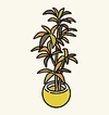 BathPlants6.jpg