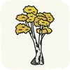 Garden Plants BirchTree.png