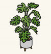 Plants6.jpg