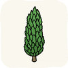 Garden Plants CypressTree.png