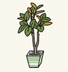 BathPlants7.jpg