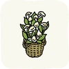 Garden Flowers CallaLily.png