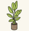 Plants1.jpg