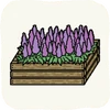 Garden Flowers LavenderBush.png