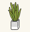 BathPlants4.jpg