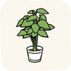 Lounge PottedPlants GreenDill.png