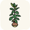 Lounge PottedPlants RubberTree.png